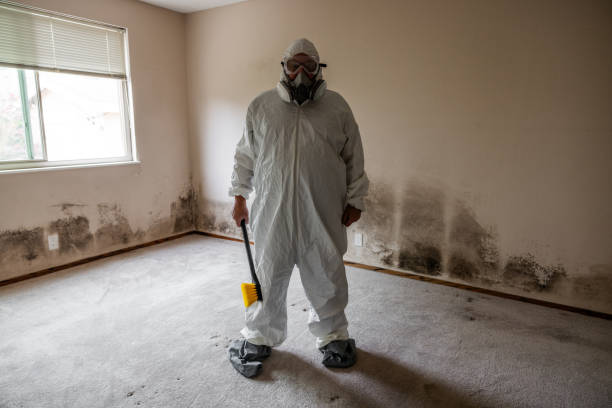 Simpsonville, KY Mold Removal Company